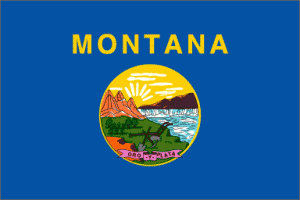 Montana State Corp Filing